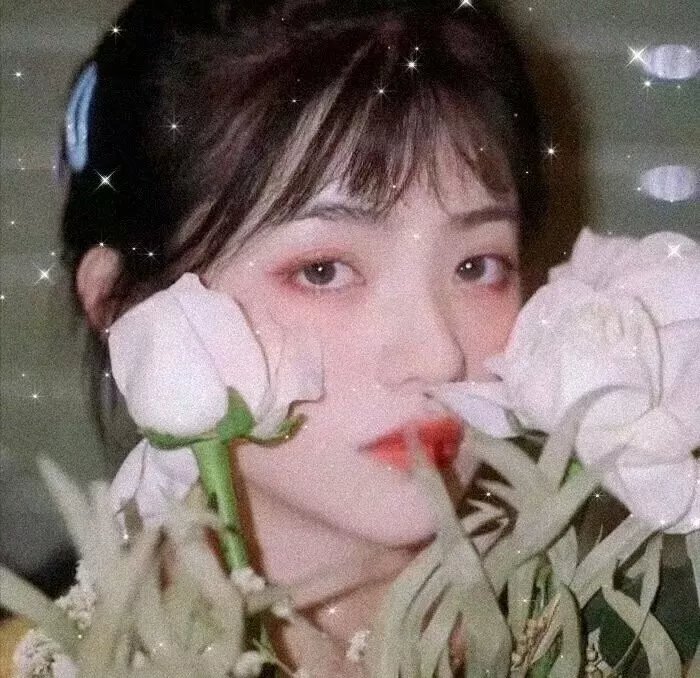 女影人生